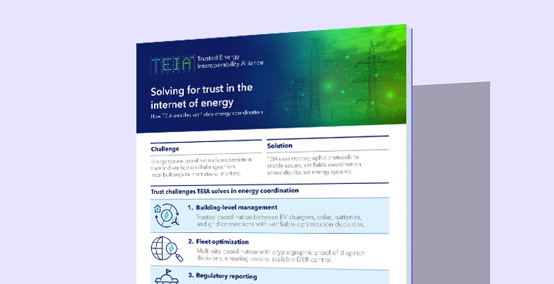 Solving for trust in the internet of energy