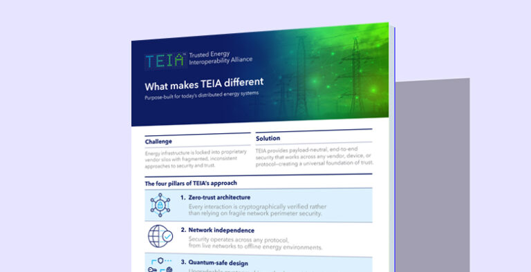 What makes TEIA different thumbnail