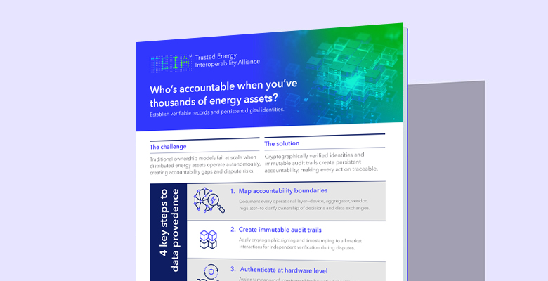 Who’s accountable when you’ve thousands of energy assets?