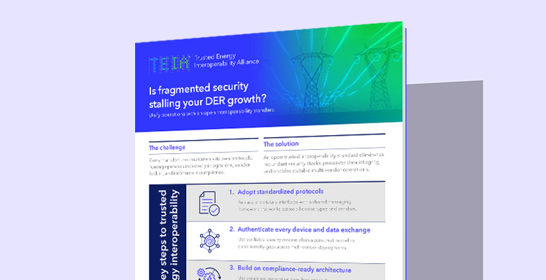 Is fragmented security stalling your DER growth?
