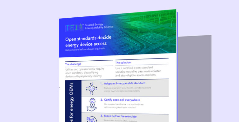 Open standards decide energy device access thumbnail